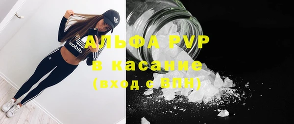 мяу мяу кристалл Арсеньев